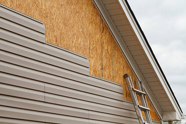 Professional Siding Repair technician working in Galena, IL